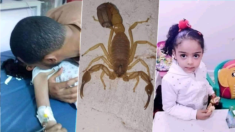 حقيقة صور الطفلة لجين التي فارقت الحياة متأثرة بلسعة عقرب