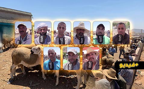 شاهدوا.. تذبذب أسعار الأضاحي في سوق العروي قبيل حلول العيد الكبير 