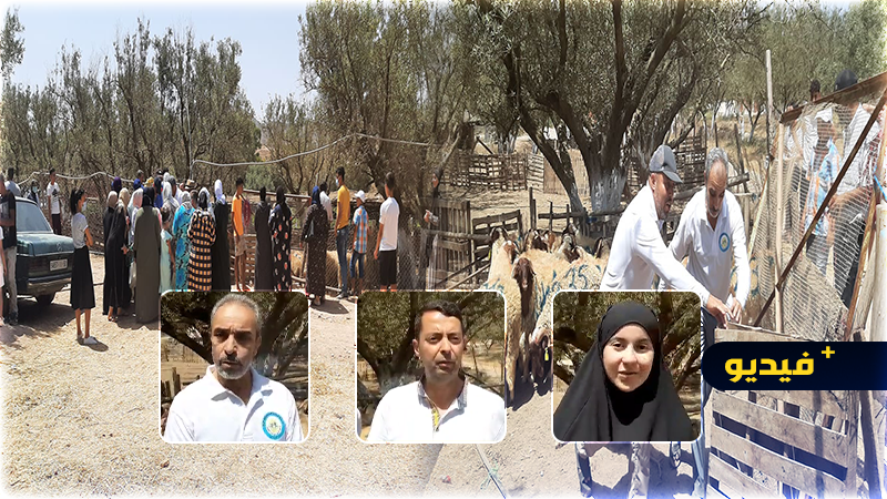 جمعية الريف لمساعدة الأطفال توزع 45 أضحية على اليتامى والمعوزين