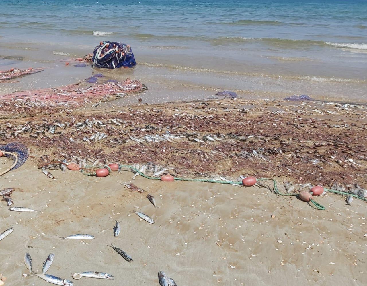 مندوبية الصيد البحري بالناظور توجه ضربة موجع لممتهني الصيد الغير قانوني