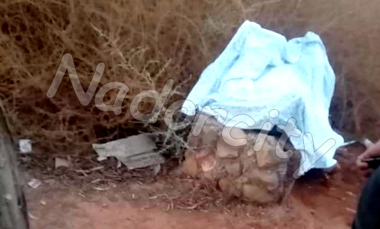 العثور على جثة عامل بناء بغابة المركز بقرية أركمان يستنفر السلطات المحلية ومصالح الدرك الملكي