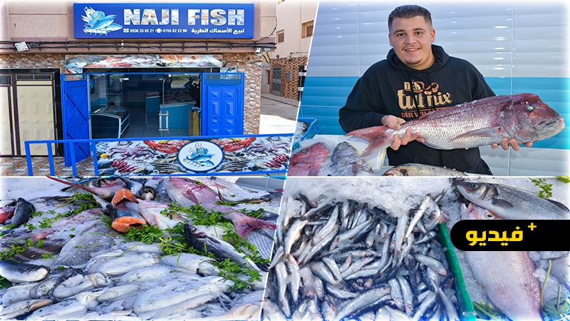 افتتاح محل جديد لبيع أجود الأسماك الطرية وفواكه البحر بمدينة الناظور 