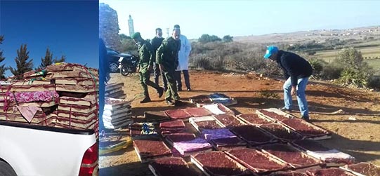 شاهدوا.. الجيش يحبط محاولة تهريب 5000 طائر من نوع "الحسون" بالحدود المغربية الجزائرية