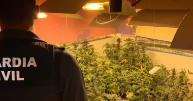 انقطاع الكهرباء يكشف  4 مراكز لإنتاج الماريجوانا فى إسبانيا