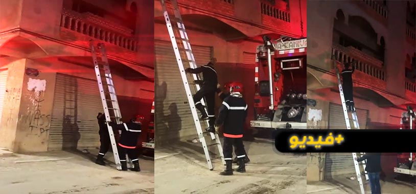 إنقاذ قطة علقت لأربعة أيام في منزل مهجور بالعروي