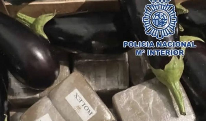 احباط تهريب كمية من الحشيش المغربي في الباذنجان