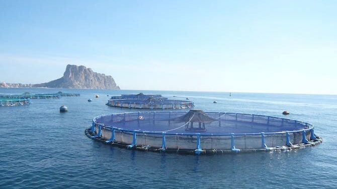 حزب إسباني يطالب بتدمير المزارع السمكية بالجزر الجعفرية