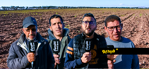 الغضب يسود فلاحين بالعروي بسبب بذور الشمندر غير الصالحة