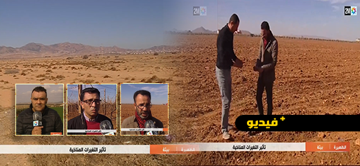 فيديو.. الجفاف بالناظور وقلة مياه السقي يحبطان آمال الفلاحين