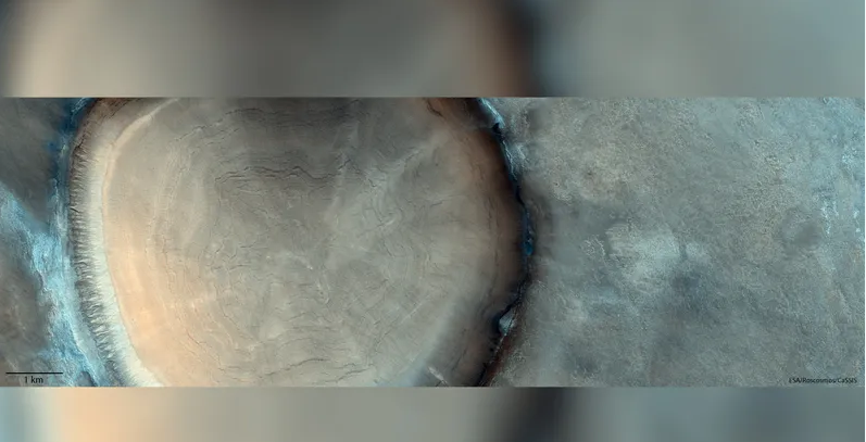 جذع شجرة على سطح المريخ.. ما قصة هذه الصورة المكتشفة