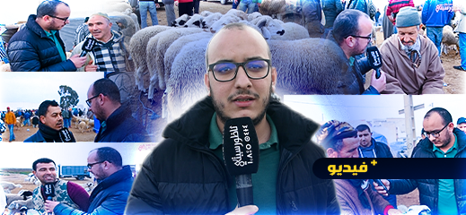 كسابة يتخلون عن نعاجهم بسبب غلاء أسعار الكلأ.. في غياب الدعم