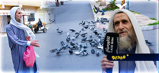 عبد الغني.. شيخ كبير رهن حياته للعناية بأسراب الحمام والقطط المشردة بالناظور