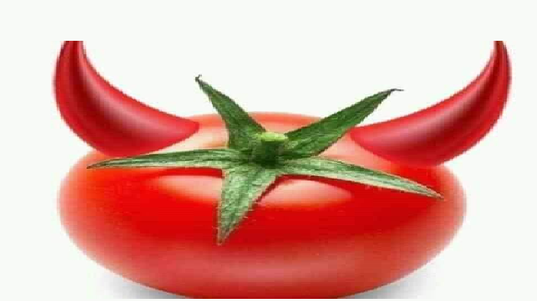 قبل رمضان.. سعر الطماطم يغضب المواطنين