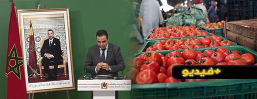 فيديو.. بعدما أصبحت أغلى من التفاح الحكومة تعلن انخفاض ثمن الطماطم