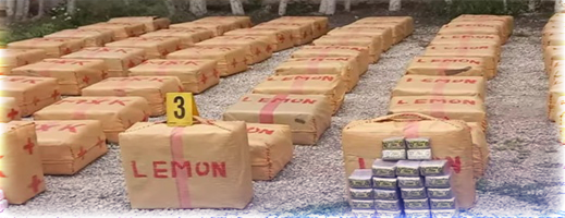 حجز نصف طن من المخدرات بالدريوش كانت معدة للتهريب الدولي