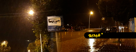 شاهدوا.. عودة التساقطات المطرية تنعش آمال الفلاحين بالناظور