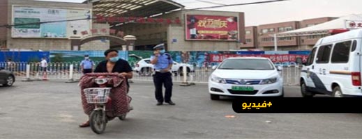 فيديو.. صينيون يجرون فحص كورنا لسمكة حية