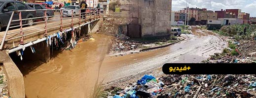 شاهدوا.. الناظور تتنفس تحت الماء 