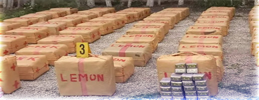 كانت معدة للتهريب.. حجز طن ونصف من المخدرات بسواحل الريف