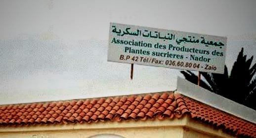 فلاحون يطالبون بتمديد فترة إيداع الترشيحات لتجديد مكتب جمعية منتجي النباتات السكرية بإقليم الناظور