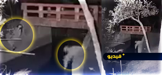 شاهدوا.. كاميرا بأزغنغان ترصد "أشباحا" في قنطرة شاهدوا.. كاميرا بأزغنغان ترصد "أشباحا" في قنطرة