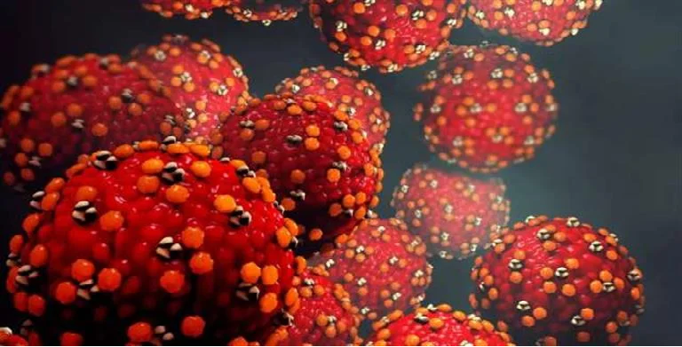 ظهور فيروس جديد يقلق العالم.. انفلونزا الطماطم بالهند