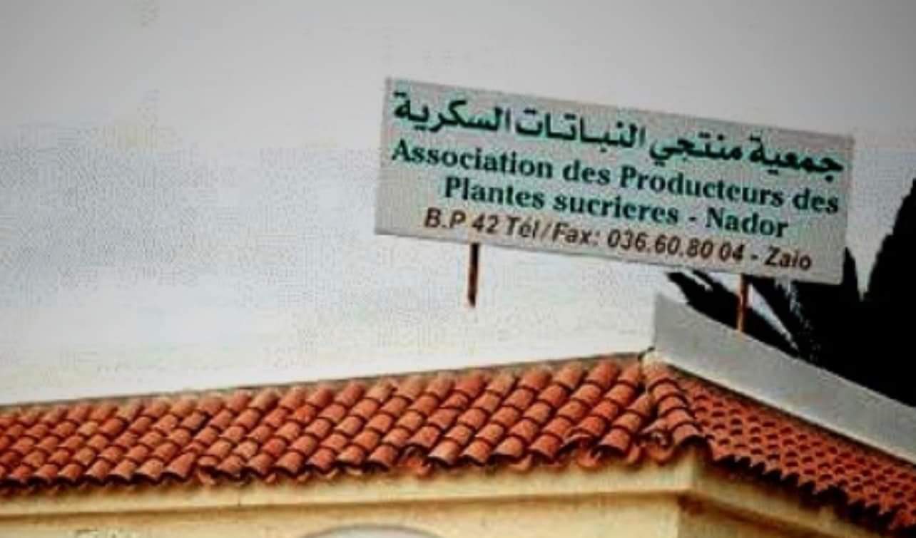 يهم فلاحي سهل كرت.. تمديد فترة إيداع الترشيحات لتجديد مكتب جمعية منتجي النباتات السكرية