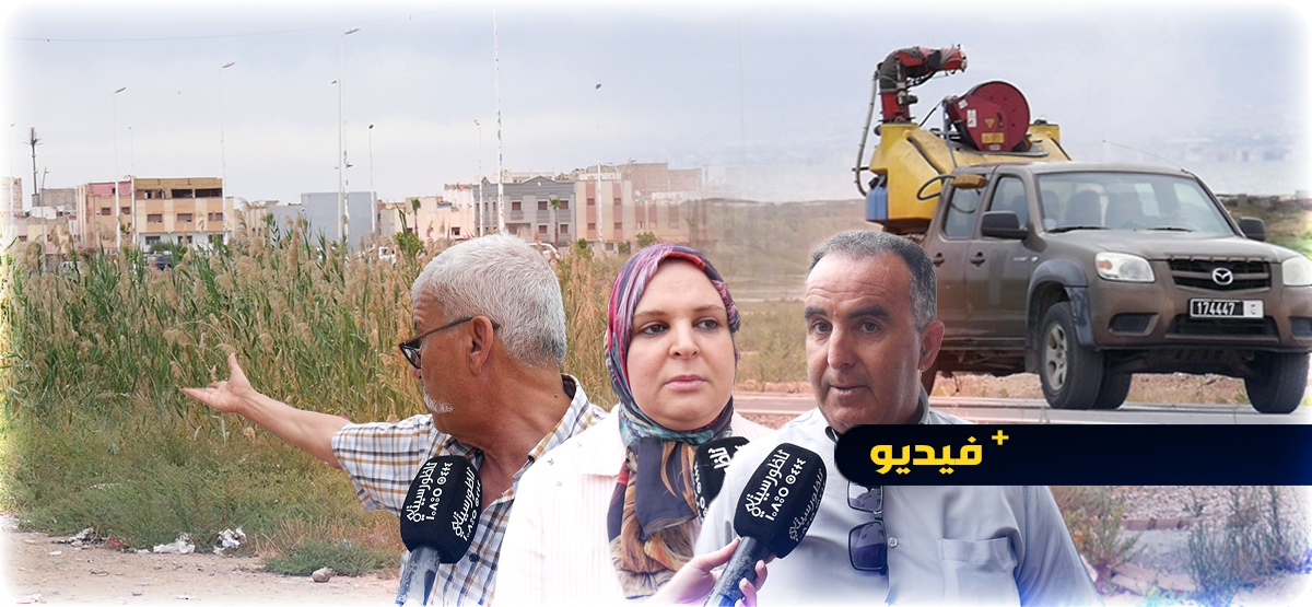 فيديو.. "الناموس" يهاجم سكان حي المطار بالناظور