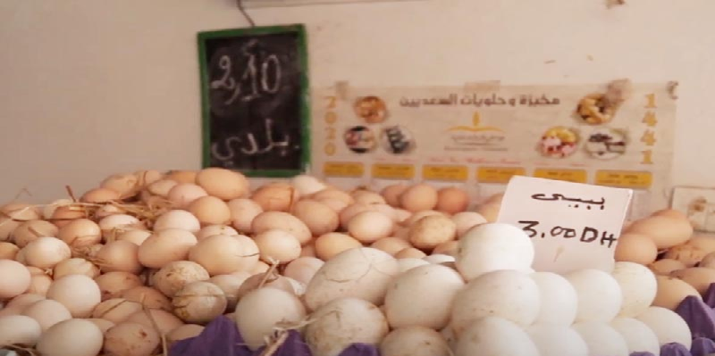 زيادات غير مسبوقة في أسعار البيض قريبا