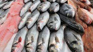 سلطات مليلية تفرض شروطا على دخول الأسماك المغربية اعتبارا من اليوم