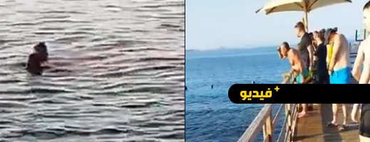 شاهدوا.. مقتل سائحتين في هجوم لأسماك القرش بمصر