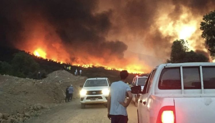 حرائق مهولة تلتهم غابات بالمغرب والنيران تواصل زحفها نحو بيوت الساكنة