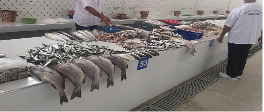 ارتفاع انتاج الأسماك  في المغرب بنسبة 21% بدون أثر على الأسعار للمستهلك الناظوري
