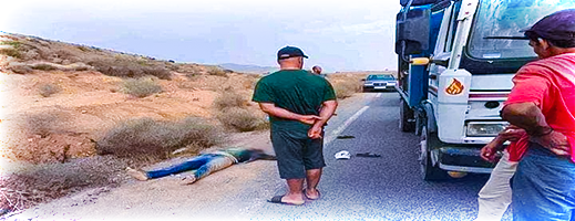 سلبوه ما يملك وانهالوا عليه بالضرب.. عملية "كريساج" بالناظور لسائق شاحنة لنقل قنينات الغاز سلبوه ما يملك وانهالوا عليه بالضرب.. عملية "كريساج" بالناظور لسائق شاحنة لنقل قنينات الغاز
