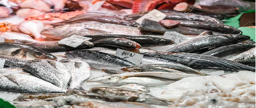 تراجع كميات الأسماك المصطادة في موانئ البحر الأبيض المتوسط
