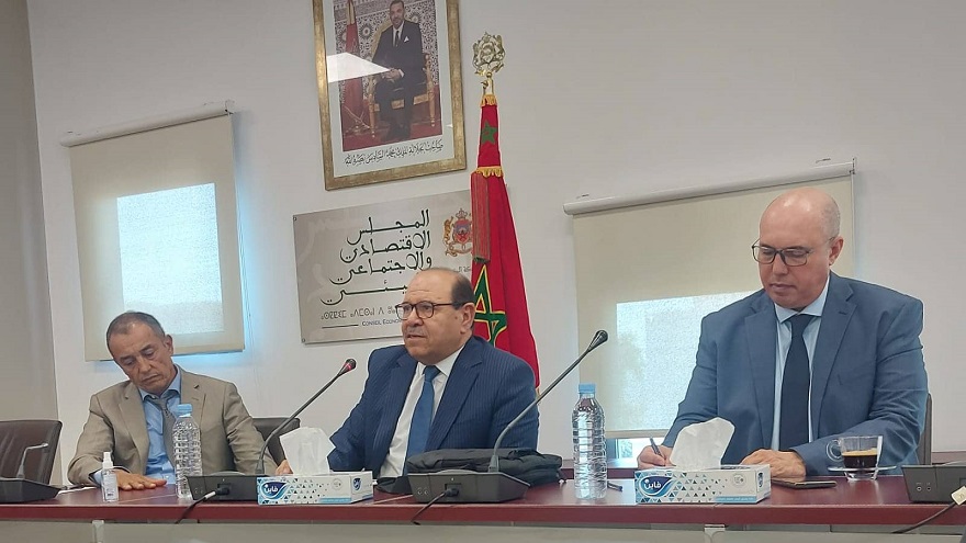بوصوف يقرب أعضاء المجلس الاقتصادي والاجتماعي والبيئي من واقع الشباب المغربي في أوروبا