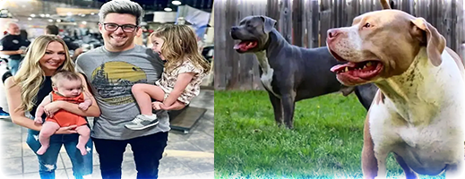 مأساة محزنة.. كلبان ينهشان طفلان وأمهما  مأساة محزنة.. كلبان ينهشان طفلان وأمهما