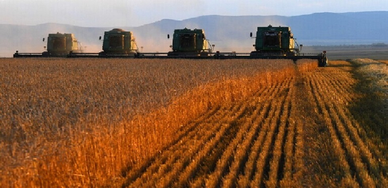 روسيا.. تتبرع للدول الفقيرة بنصف مليون طن من الحبوب مجانا