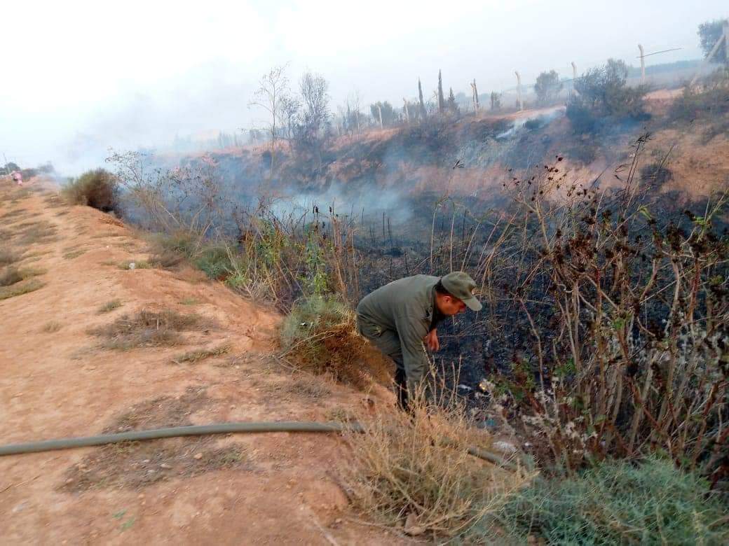  صور.. اندلاع حريق بورشة لصناعة القصب ضواحي مدينة العروي