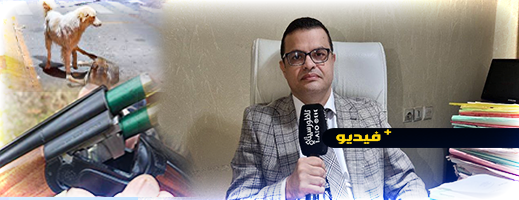 محامي يشرح تفاصيل الحكم القضائي ضد جماعة الناظور بسبب إبادة الكلاب
