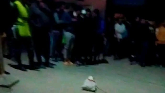جماجم بشرية ملقاة بالشارع تستنفر الدرك