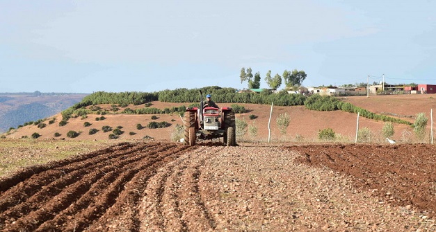 خبير: المغرب يحتاج ستين يوما من الأمطار لينقذ الموسم الفلاحي الحالي‬