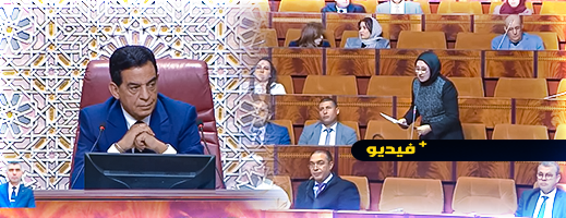 شاهدوا.. نائبة برلمانية تطالب الحكومة بربط ميناء الناظور غرب المتوسط بالطريق السيار
