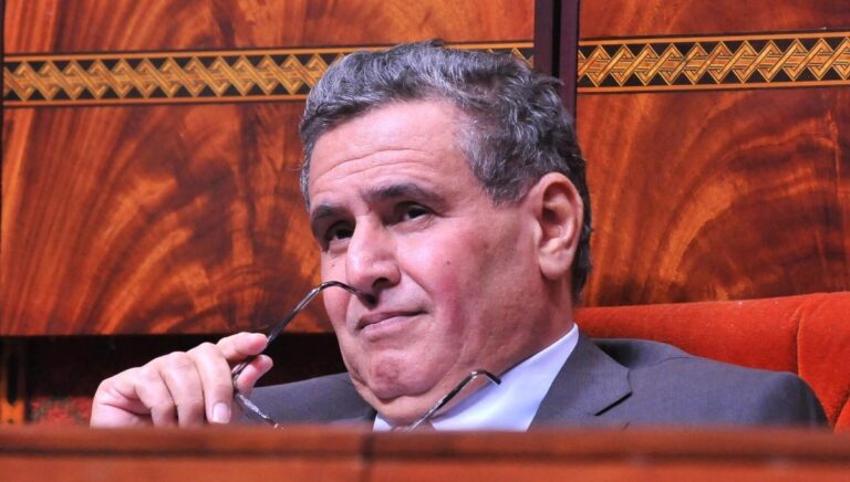 أخنوش: الحكومة ملتزمة بتفعيل ورش تفعيل الطابع الرسمي للأمازيغية