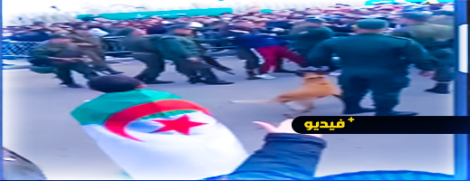 فيديو.. شان الجزائر فوضى وزرواطة تنهال على الجماهير