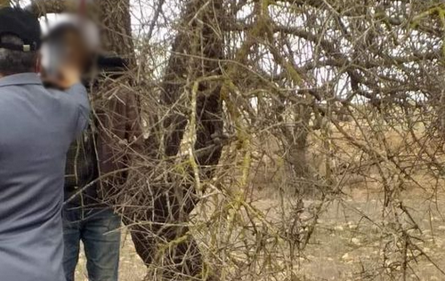 العثور على جثة رجل معلقة بحبل على شجرة نواحي الناظور يثير القلق العثور على جثة رجل معلقة بحبل على شجرة نواحي الناظور يثير القلق