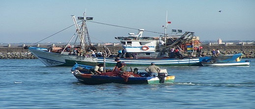 استمرار تدهور قطاع الصيد البحري في موانئ شمال المغرب خلال سنة 2022