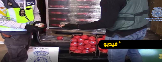 شاهدوا.. الأمن الإسباني يضبط أكثر من 22 طناً من الحشيش المغربي في طماطم مزيفة