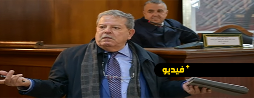 البنيحياتي: غياب التشوير والتساهل مع السيارات السيئة يؤدي إلى ارتفاع حوادث السير بالناظور 