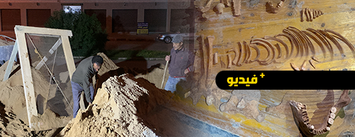 شاهدوا.. عظام بشرية في رمال البناء تستنفر سلطات الناظور